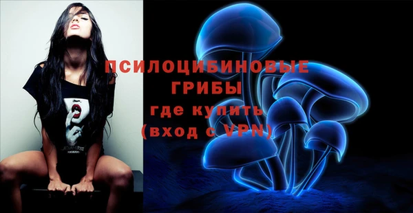 jwh Елабуга