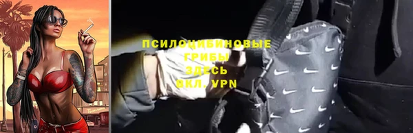 бошки Ельня