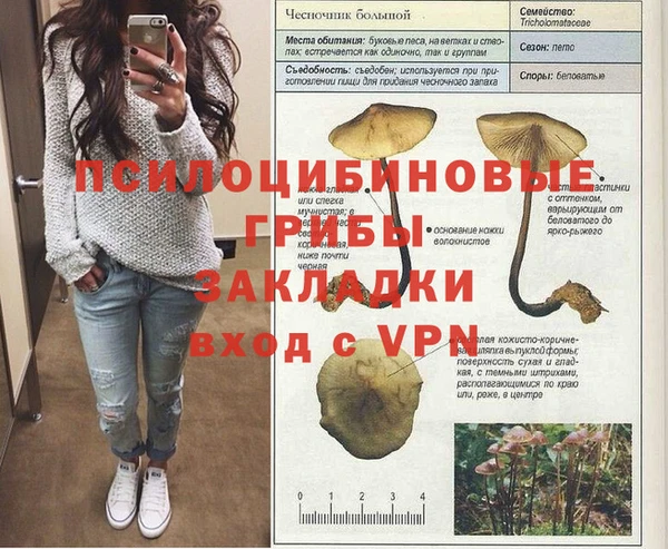 jwh Елабуга
