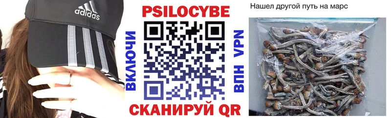 Псилоцибиновые грибы GOLDEN TEACHER  Купить закладки  Невель 